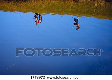 Reflection of people in a pond View Large Photo Image Stock Image - Reflection of people in a pond. Fotosearch