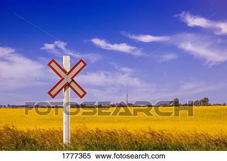 Road sign against a field of canola View Large Photo Image Stock Photography - Road sign against a field of canola. Fotosearch