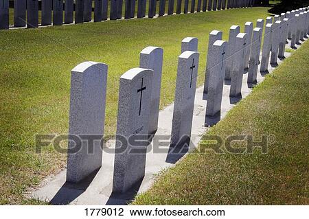 Rows of graves View Large Photo Image Stock Image - Rows of graves. Fotosearch