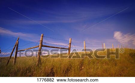 Stock Image - Rural landscape and barbed wire fencing. Fotosearch
