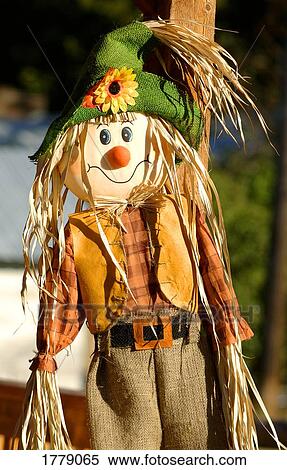 Scarecrow View Large Photo Image Stock Photography - Scarecrow. Fotosearch