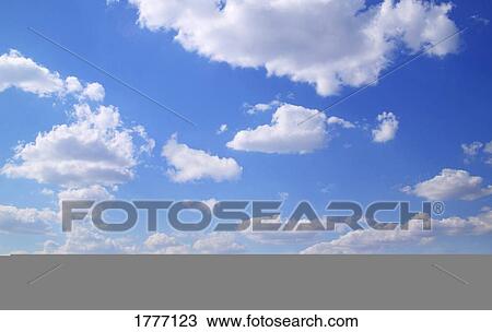 Stock Image - Scenic view of meadow and canola crop. Fotosearch