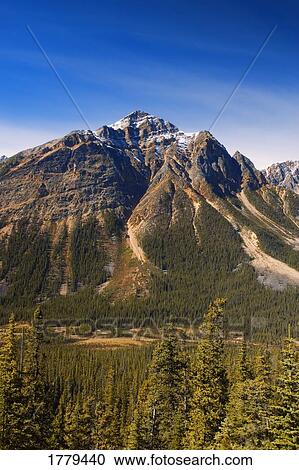 Stock Image - Tonquin Valley Jasper National Park. Fotosearch
