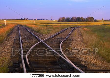 Train tracks that divide View Large Photo Image Stock Photograph - Train tracks that divide. Fotosearch