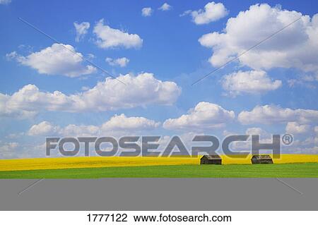 Two farm buildings in vast meadows View Large Photo Image Stock Image - Two farm buildings in vast meadows. Fotosearch