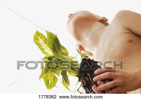 Young boy holding plant View Large Photo Image Stock Image - Young boy holding plant. Fotosearch
