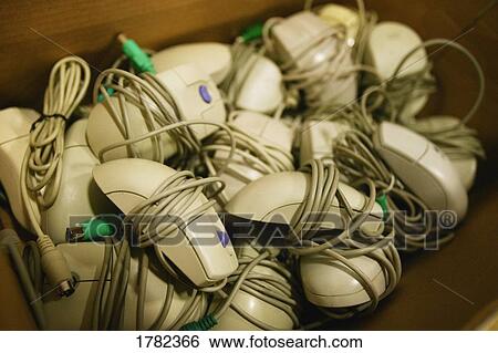 Stock Photograph - A box full of mice. Fotosearch