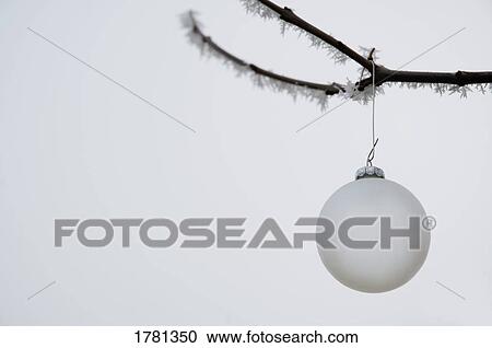 A Christmas ornament View Large Photo Image Stock Image - A Christmas ornament. Fotosearch