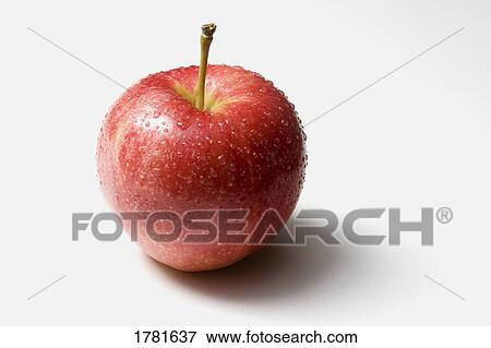 Stock Photo - A fresh apple. Fotosearch
