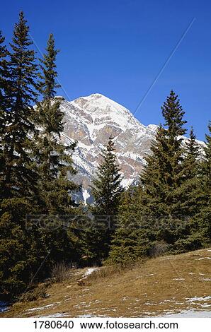 Stock Image - A mountain scene. Fotosearch
