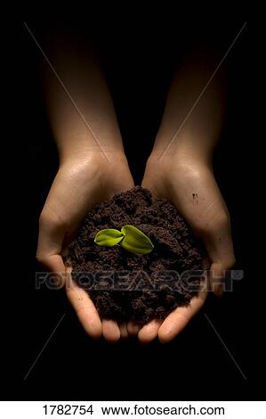 A new beginning View Large Photo Image Picture - A new beginning. Fotosearch