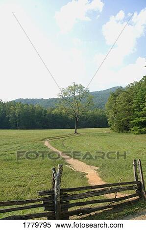 Stock Photography - A rural pathway. Fotosearch
