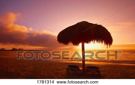 Picture - A tropical paradise. Fotosearch