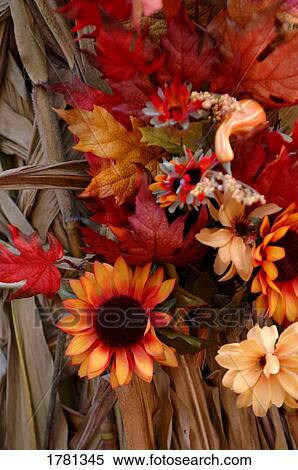 An autumn floral display View Large Photo Image Stock Photography - An autumn floral display. Fotosearch
