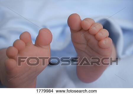 Picture - Baby feet. Fotosearch