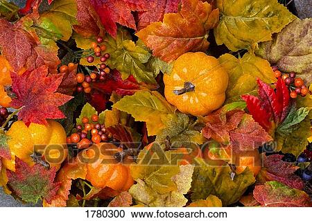 Closeup of autumn display View Large Photo Image Stock Image - Closeup of autumn display. Fotosearch