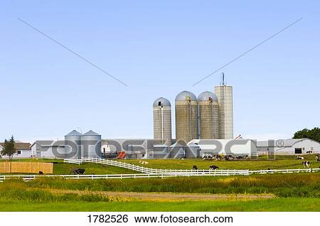 Stock Photograph - Dairy farm silos and pasture. Fotosearch