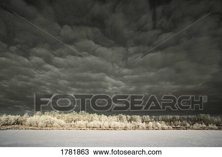 Dark clouds over frosty treeline View Large Photo Image Stock Image - Dark clouds over frosty treeline. Fotosearch