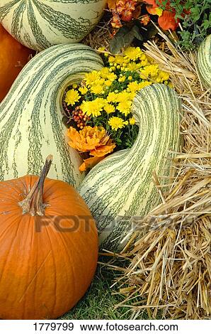Stock Photo - Festive food. Fotosearch