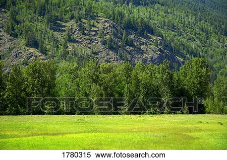 Stock Photography - Field. Fotosearch