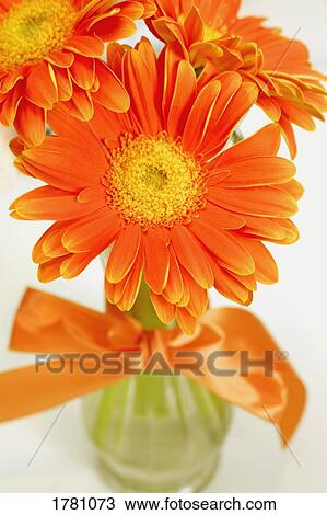 Flowers in a vase View Large Photo Image Stock Image - Flowers in a vase. Fotosearch
