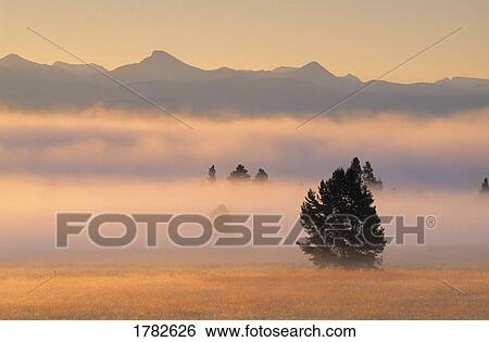 Stock Photograph - Fog at sunrise covers Pelican Valley. Fotosearch