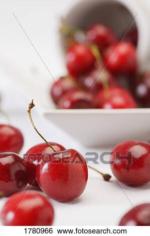 Fresh cherries View Large Photo Image Stock Photograph - Fresh cherries. Fotosearch