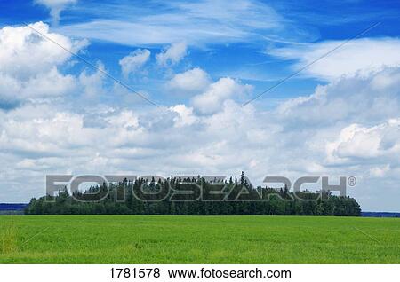 Stock Photo - Green meadow and trees. Fotosearch