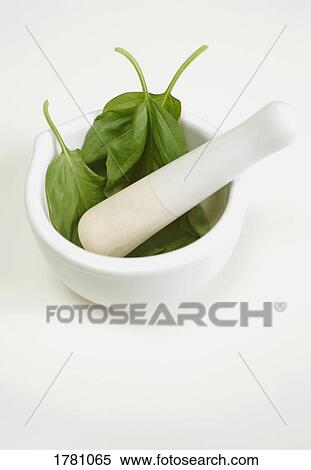 Stock Photography - Grinding up herbs. Fotosearch