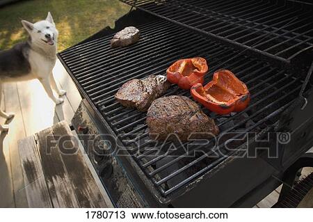 Meat on the barbecue View Large Photo Image Stock Image - Meat on the barbecue. Fotosearch