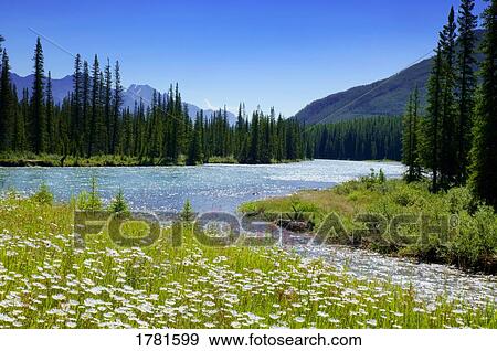 Stock Photo - Mountain scenic. Fotosearch