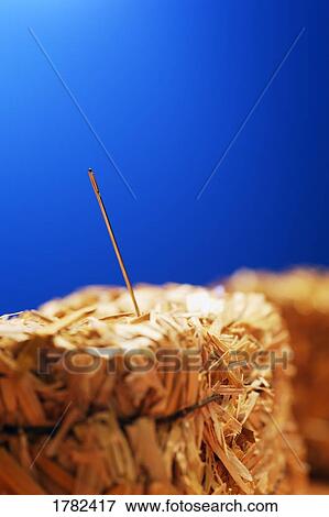 Stock Photo - Needle in a hay stack. Fotosearch