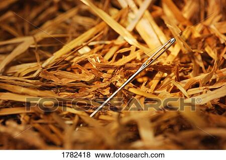 Stock Photo - Needle in a hay stack. Fotosearch
