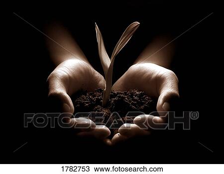 Stock Image - Nurture and grow. Fotosearch