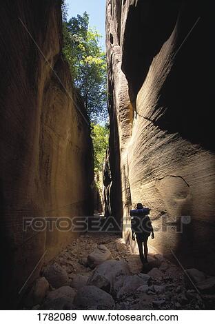 Orderville Canyon, Zion National Park, Utah, USA View Large Photo Image Stock Photo - Orderville Canyon, Zion National Park, Utah, USA. Fotosearch