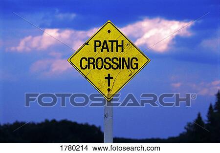 Picture - Path crossing. Fotosearch