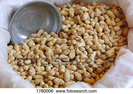 Stock Photograph - Peanuts in container. Fotosearch