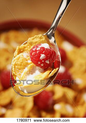 Raspberries in cereal View Large Photo Image Stock Image - Raspberries in cereal. Fotosearch