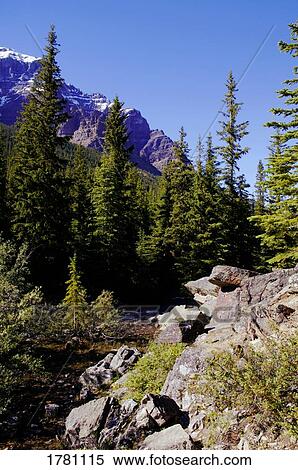 Rugged landscape View Large Photo Image Stock Photography - Rugged landscape. Fotosearch