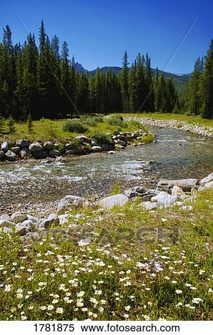 Scenic landscape View Large Photo Image Stock Photography - Scenic landscape. Fotosearch