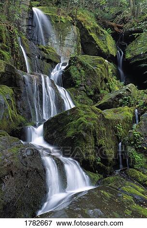 Scenic waterfall over moss covered boulders View Large Photo Image Stock Photo - Scenic waterfall over moss covered boulders. Fotosearch
