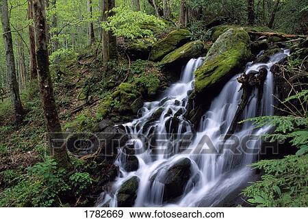Stock Photo - Scenic waterfall. Fotosearch