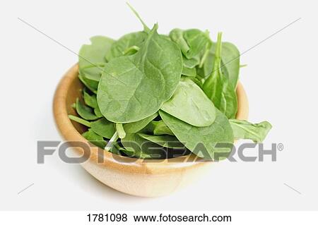 Spinach leaves in a bowl View Large Photo Image Stock Photo - Spinach leaves in a bowl. Fotosearch