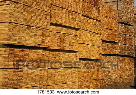 Stacks of wood View Large Photo Image Stock Image - Stacks of wood. Fotosearch