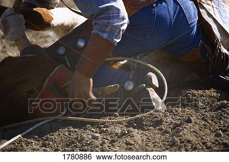 Stock Photograph - Steer wrestling. Fotosearch