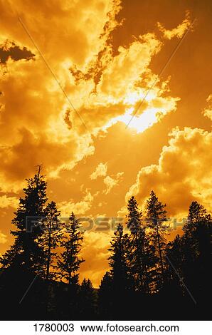 Sun covered with clouds View Large Photo Image Stock Image - Sun covered with clouds. Fotosearch