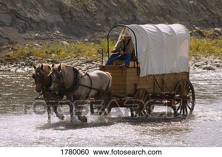 Stock Image - Through the water. Fotosearch