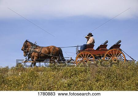 Stock Image - Travel by horse and buggy. Fotosearch
