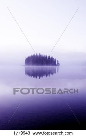 Stock Image - Trees across a calm lake. Fotosearch