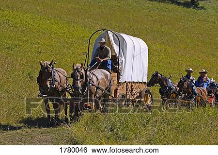 Stock Photograph - Wagon Train. Fotosearch